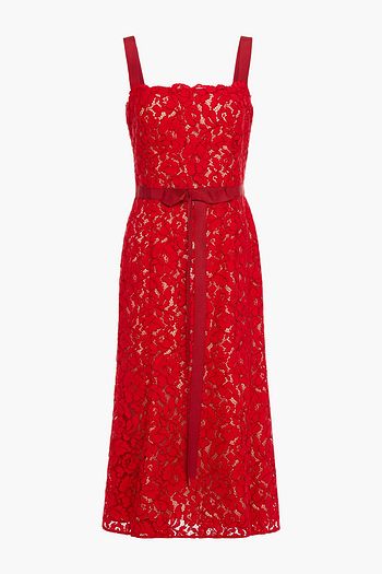 OSCAR DE LA RENTA Grosgrain-trimmed cotton-blend corded lace midi dress