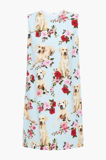 DOLCE & GABBANA Bedrucktes Minikleid aus Crêpe