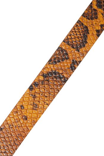 REJINA PYO Infinity snake-effect leather belt