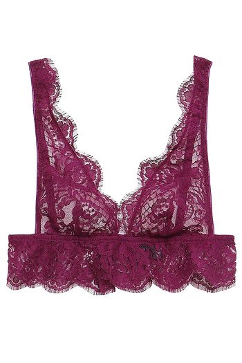 I.D. SARRIERI Colette cotton-blend Chantilly lace bralette