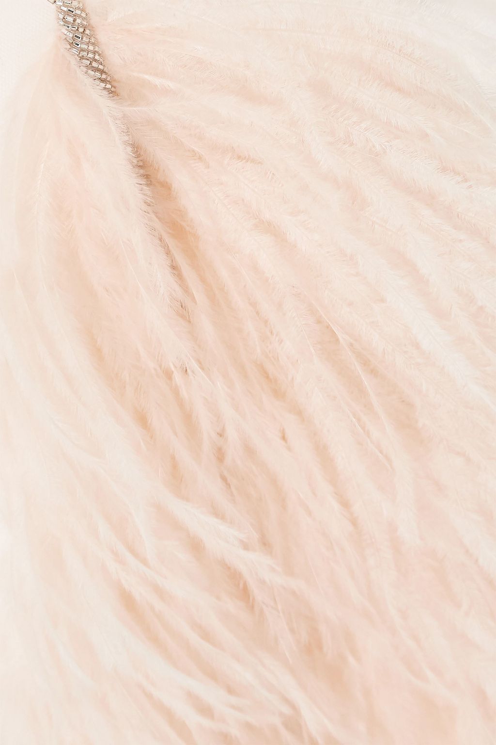 DRIES VAN NOTEN Feather and crystal-embellished tulle skirt