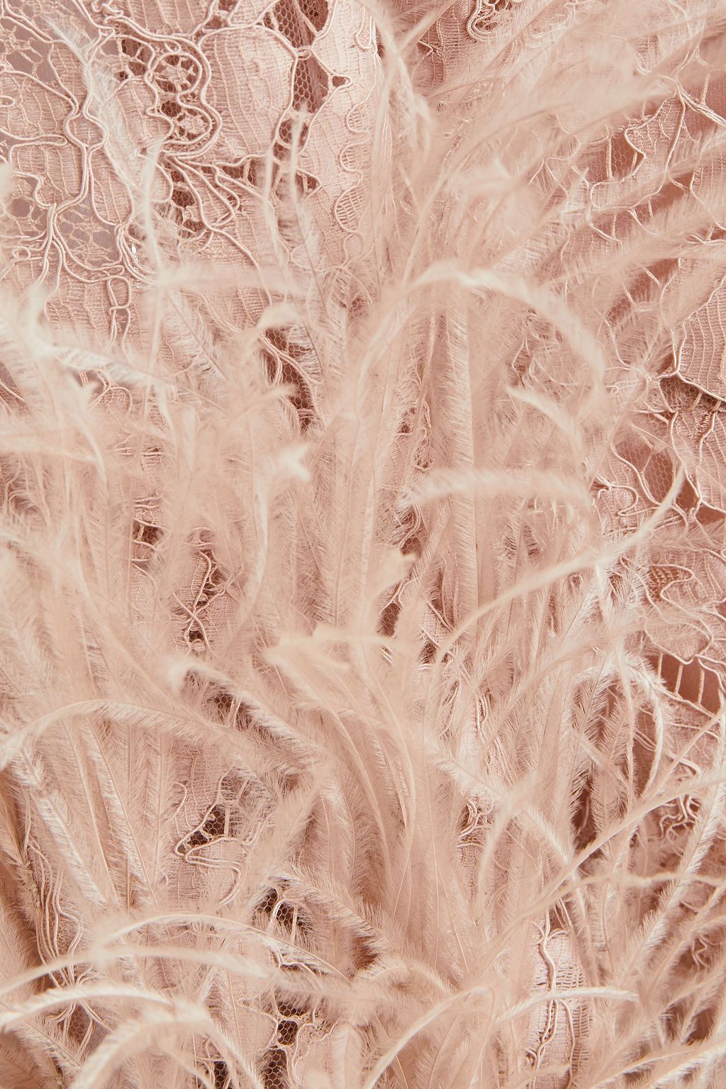 VALENTINO GARAVANI Minikleid aus schnurgebundener Spitze aus einer Baumwollmischung mit Federn