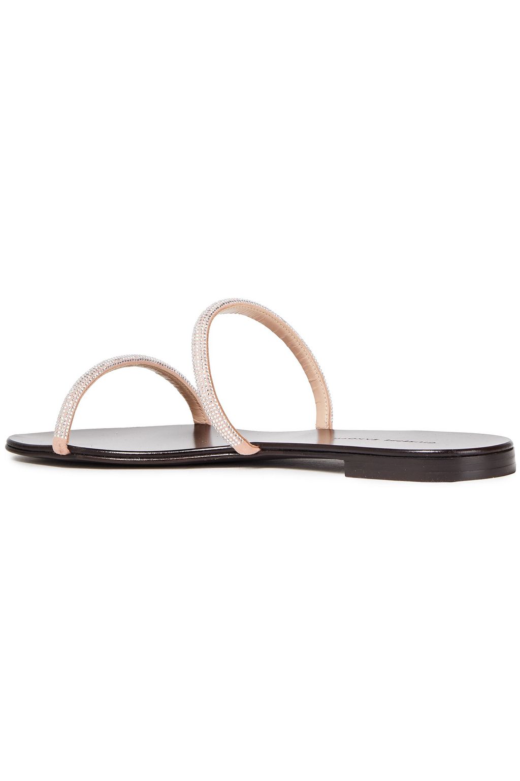 zanotti slides