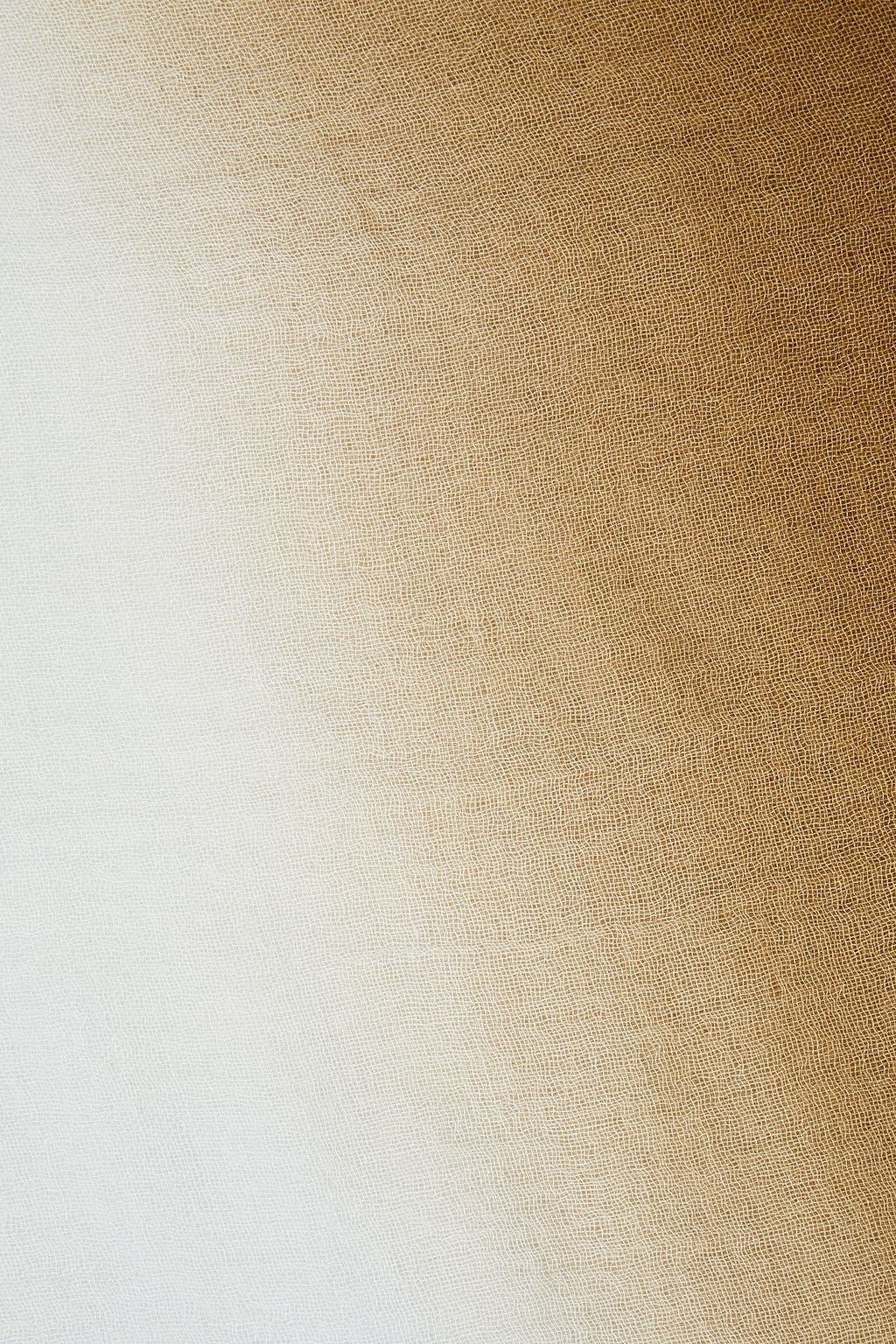 CHAN LUU Fringed dégradé cashmere and silk-blend gauze scarf