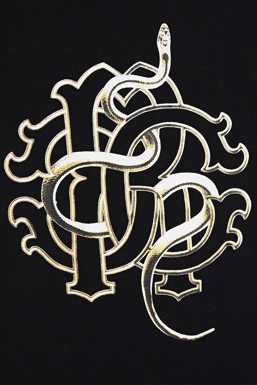 ROBERTO CAVALLI Logo-print cotton-jersey T-shirt
