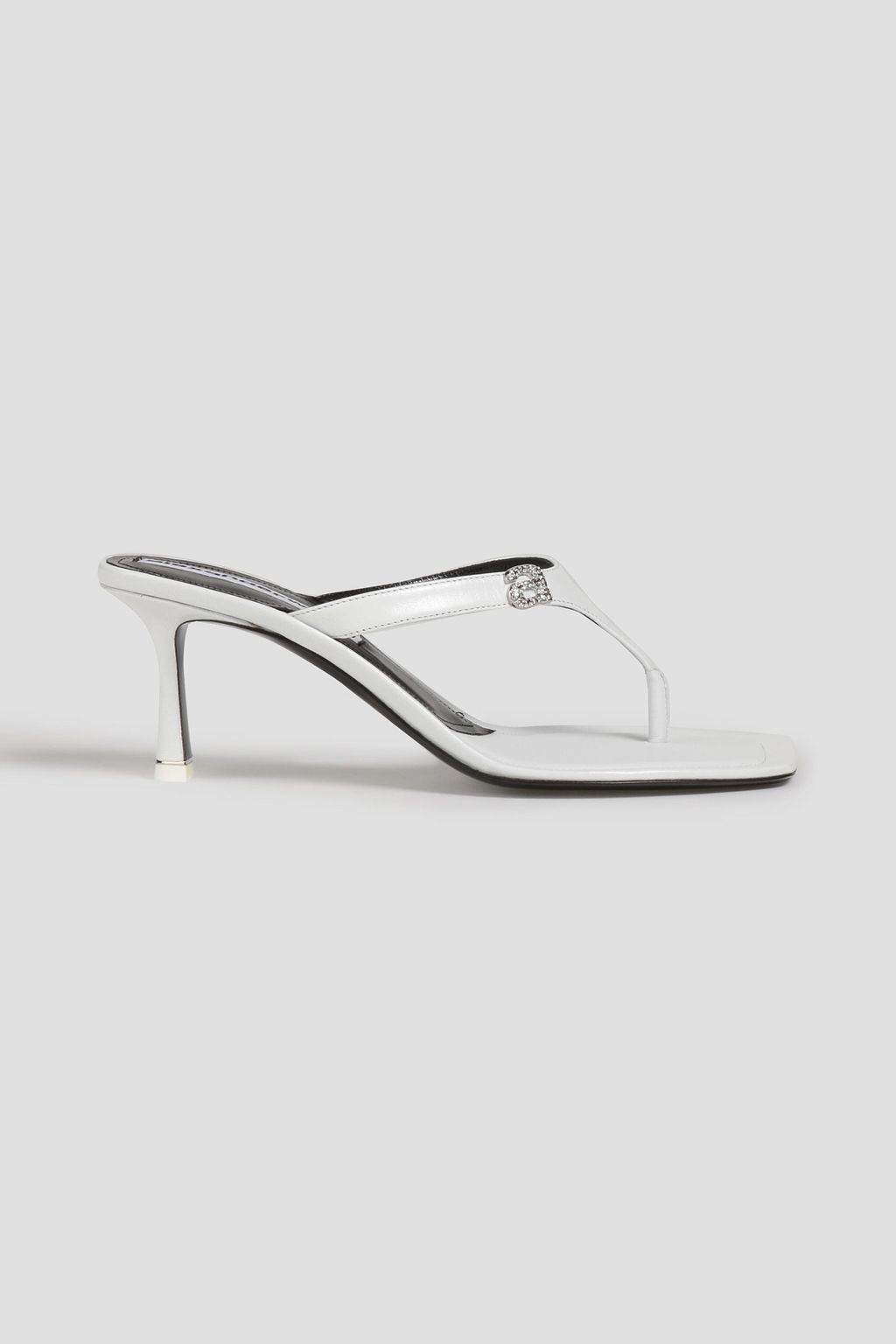 Alexander sales wang ivy