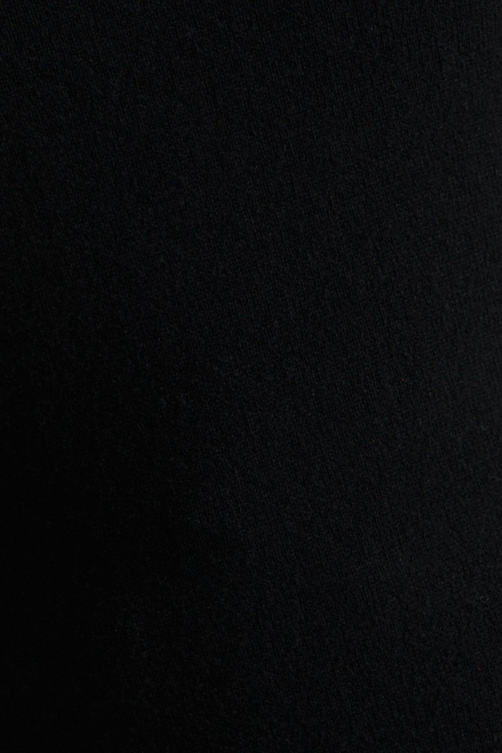 AUTUMN CASHMERE Frayed cashmere turtleneck vest