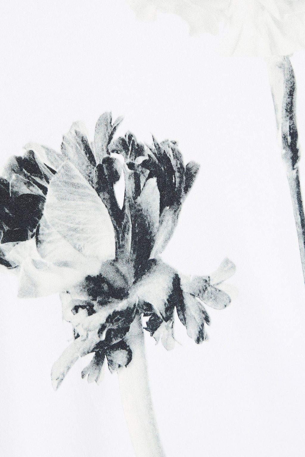 VALENTINO Floral-print cotton-jersey T-shirt