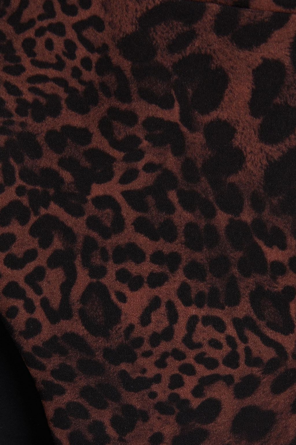JETS AUSTRALIA BY JESSIKA ALLEN Leopard-print high-rise bikini briefs