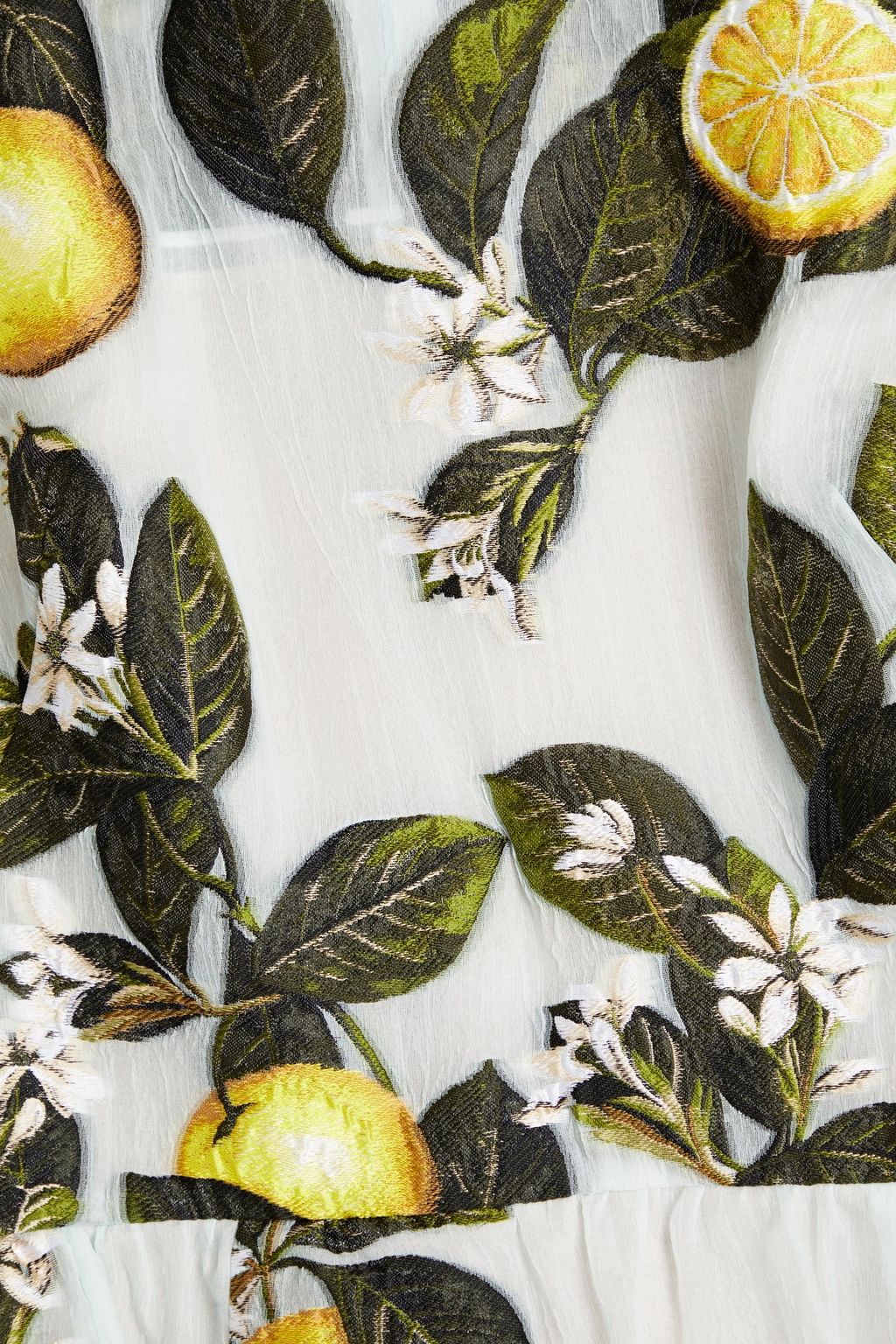 OSCAR DE LA RENTA Fil coupé silk-blend organza maxi dress