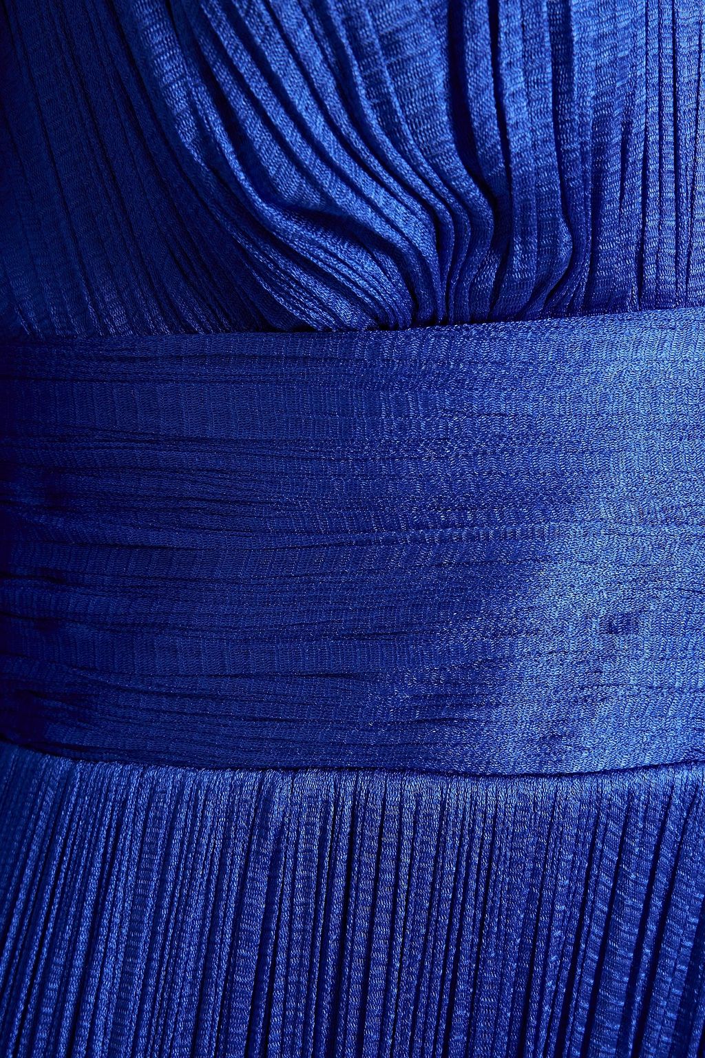 MARIA LUCIA HOHAN Plissé silk-tulle gown
