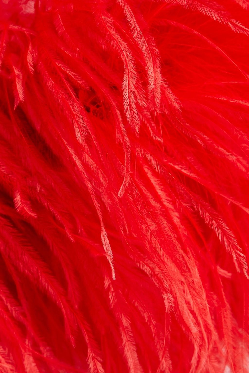 MAISON MARGIELA Feather-embellished stretch-tulle cape