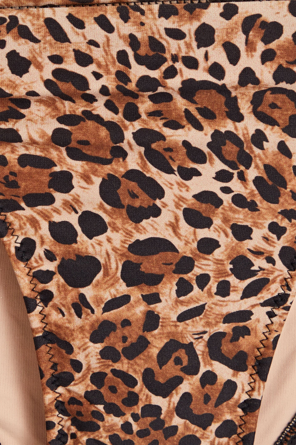Melissa Odabash Florence Leopard-print Low-rise Bikini Briefs In Animal Print