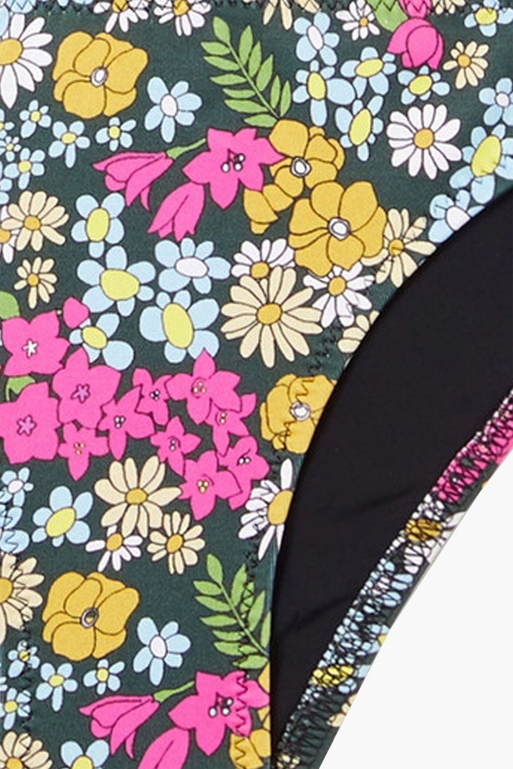 SOLID & STRIPED + Il Pellicano Rachel floral-print low-rise bikini briefs