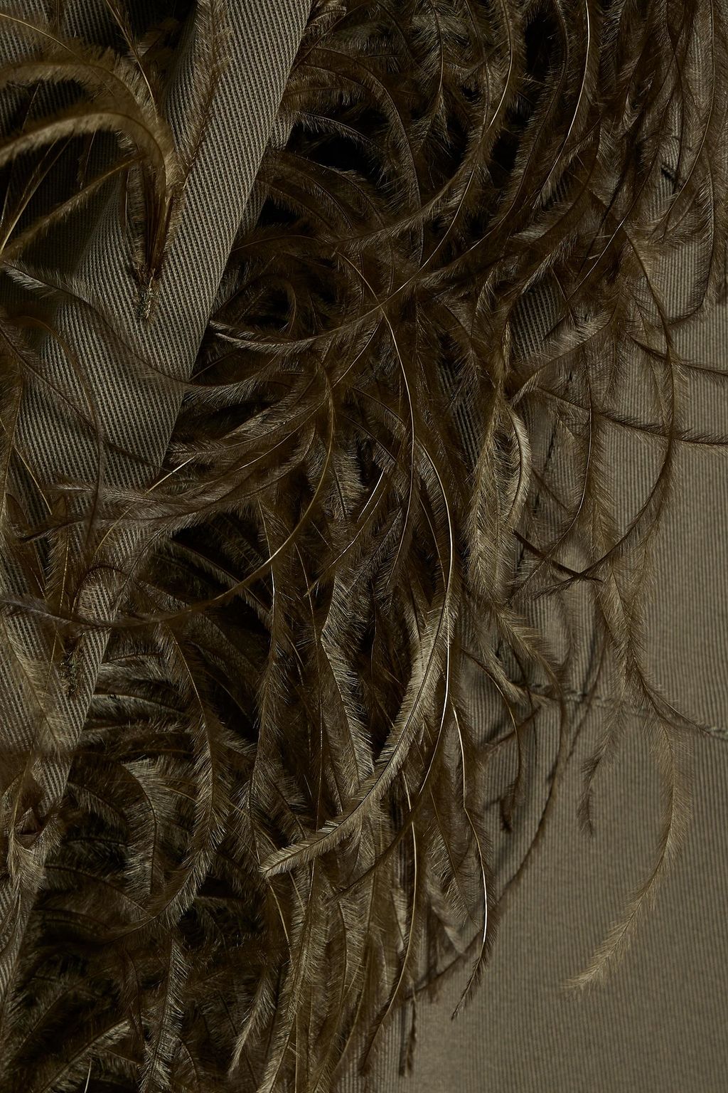 VALENTINO GARAVANI Feather-embellished cotton-gabardine jacket