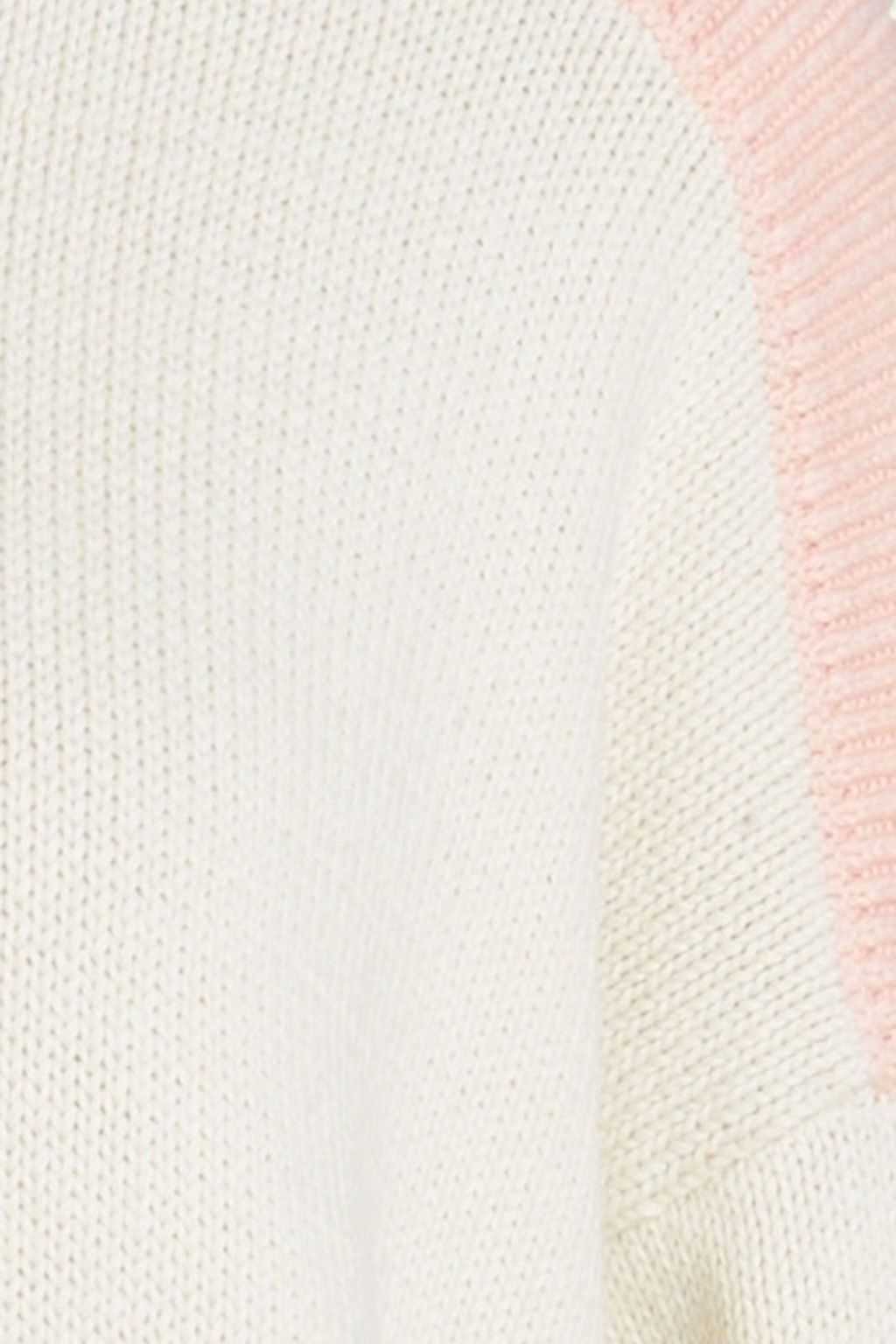 CHINTI & PARKER Two-tone ribbed cotton turtleneck sweater