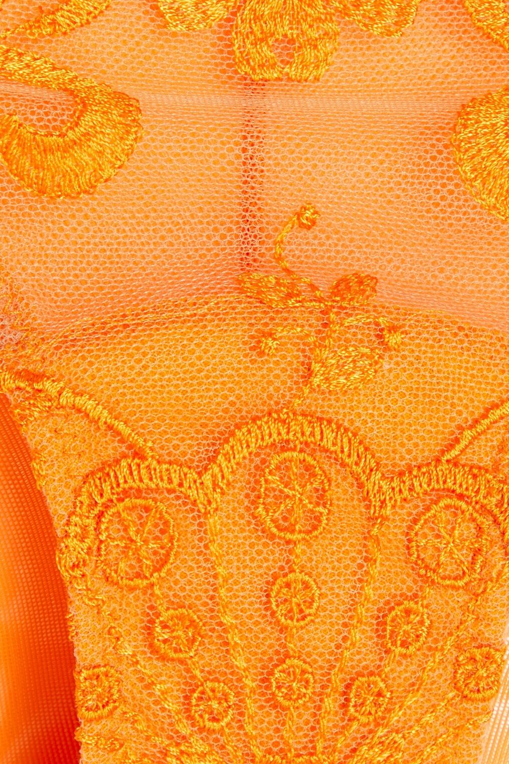 I.D. SARRIERI Embroidered tulle low-rise briefs