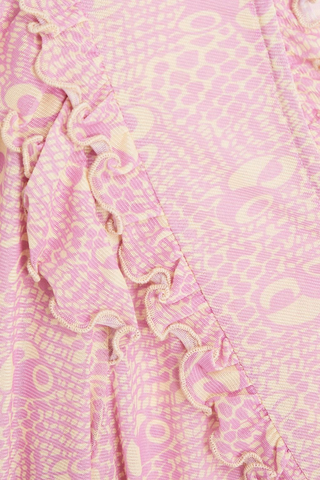 ANNA SUI Ruffled printed tulle top