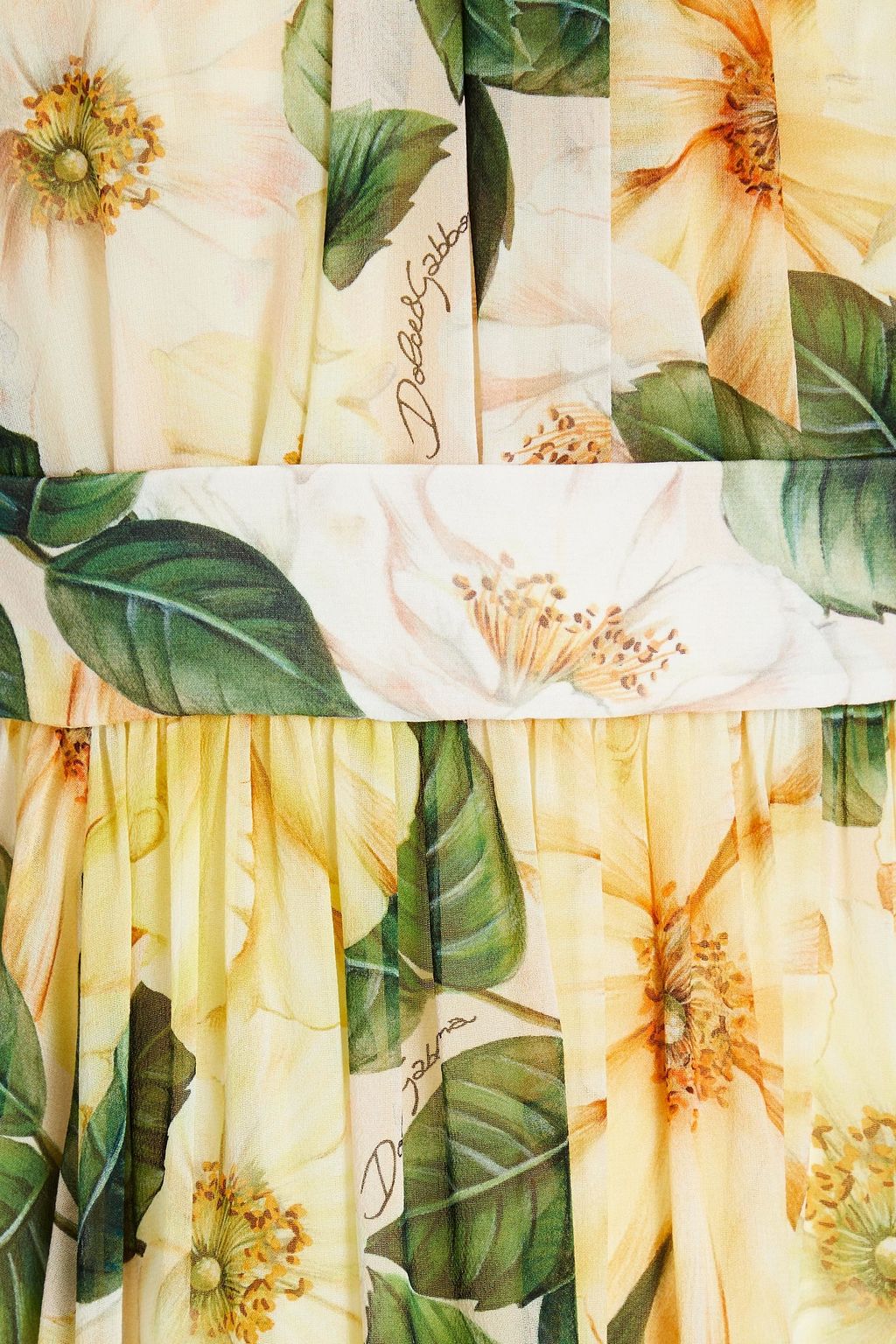 DOLCE&GABBANA Pleated floral-print silk-georgette maxi dress