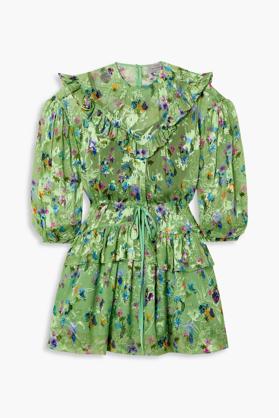 Preen By Thornton Bregazzi Florence Ruffled Floral-print Devoré-chiffon Mini Dress In Green