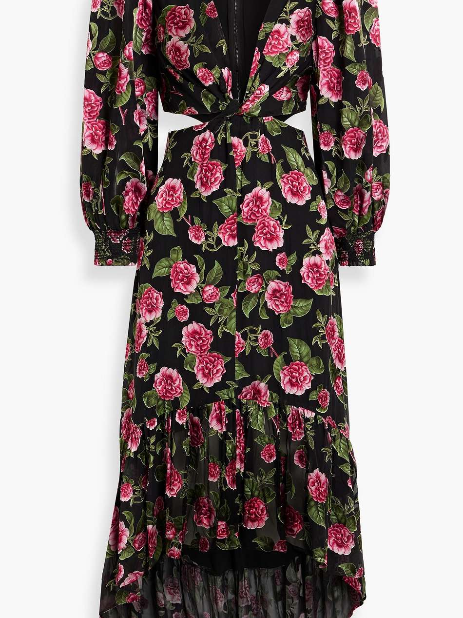katia ruffled floral-print fil coupé chiffon maxi dress