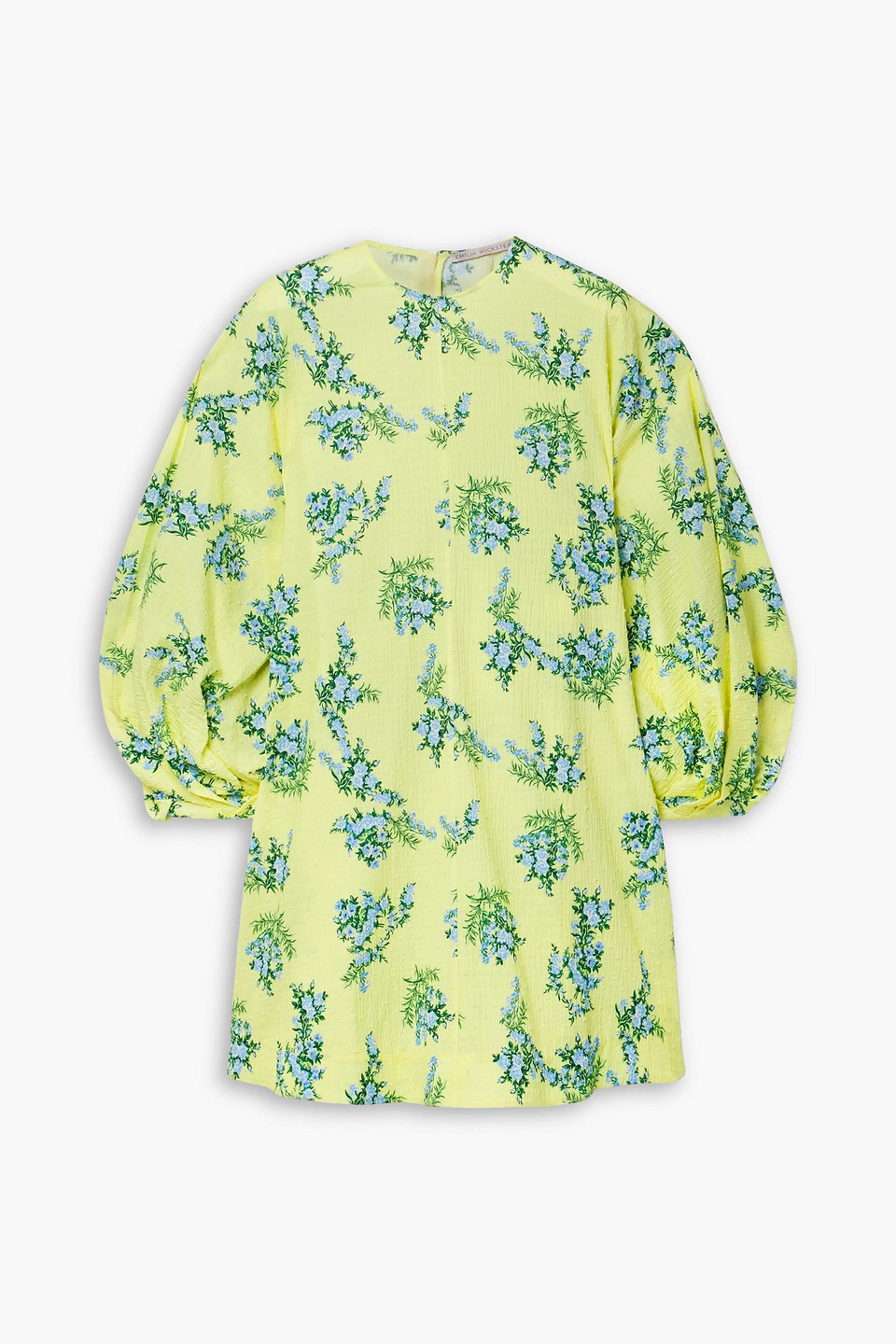 Emilia Wickstead Nelson Floral-print Swiss-dot Cotton-blend Seersucker Mini Dress In Light Green