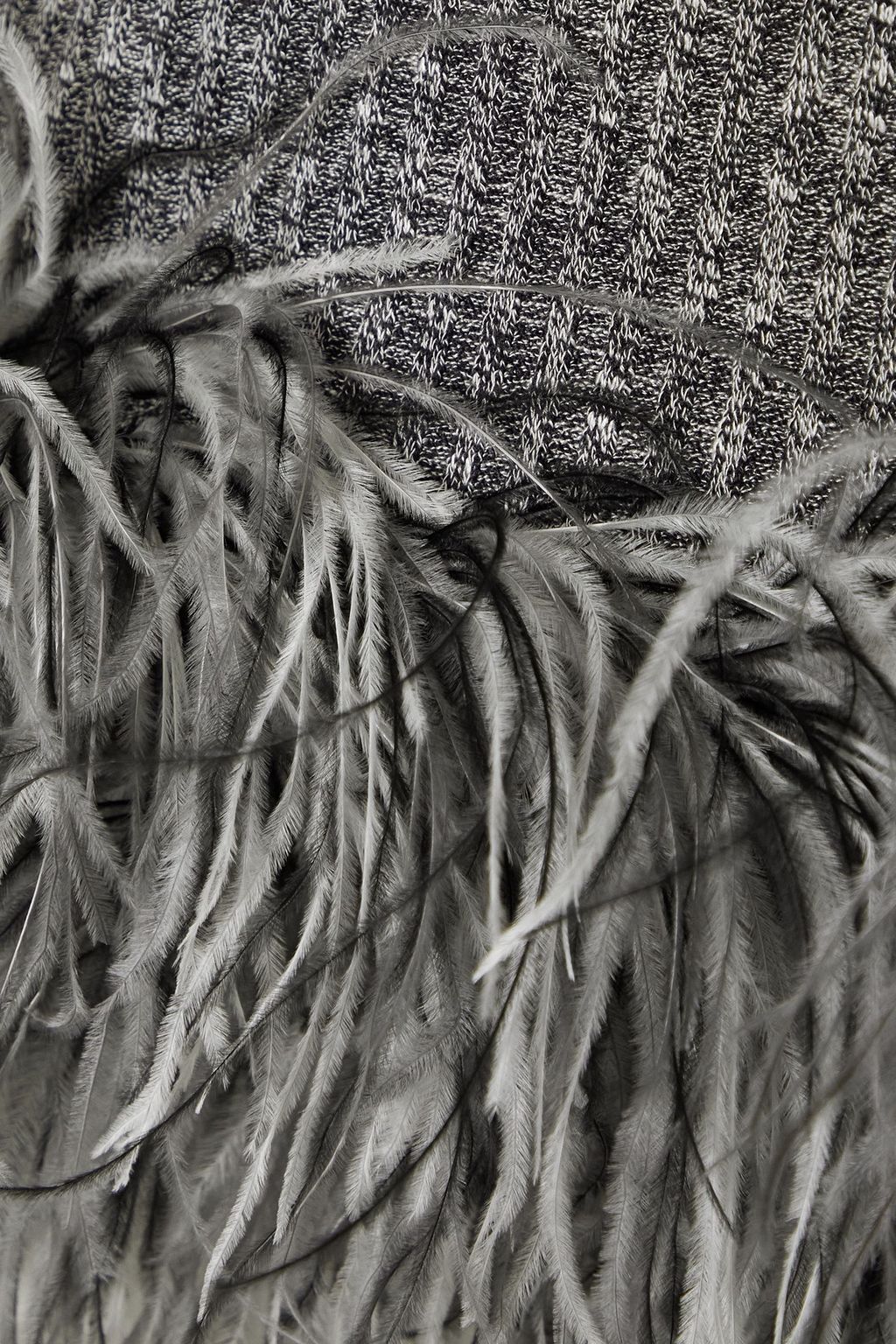 16ARLINGTON Haile feather-trimmed ribbed-knit mini skirt