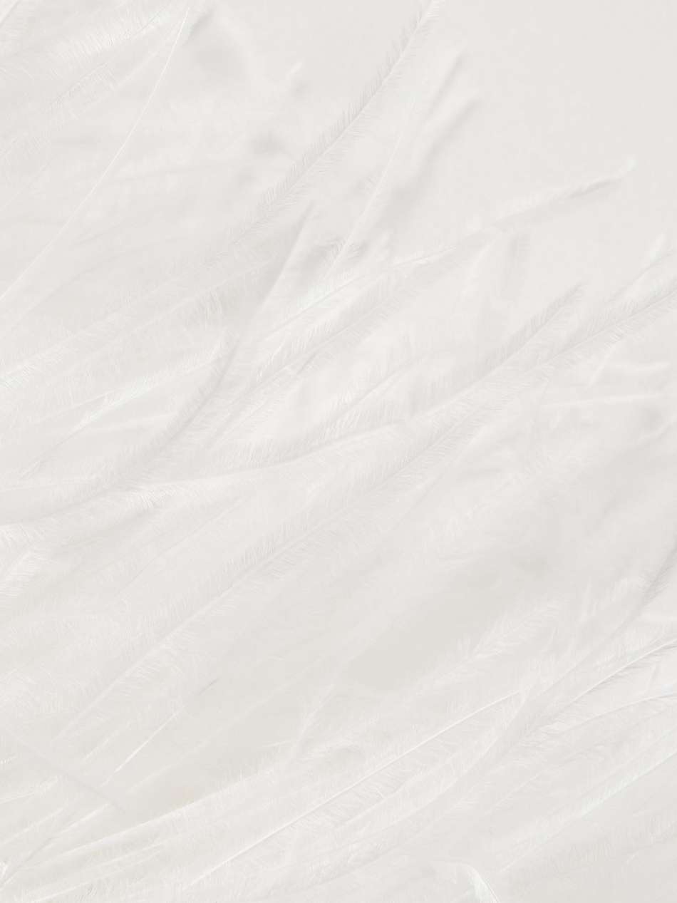 andrea feather-trimmed silk-satin midi dress