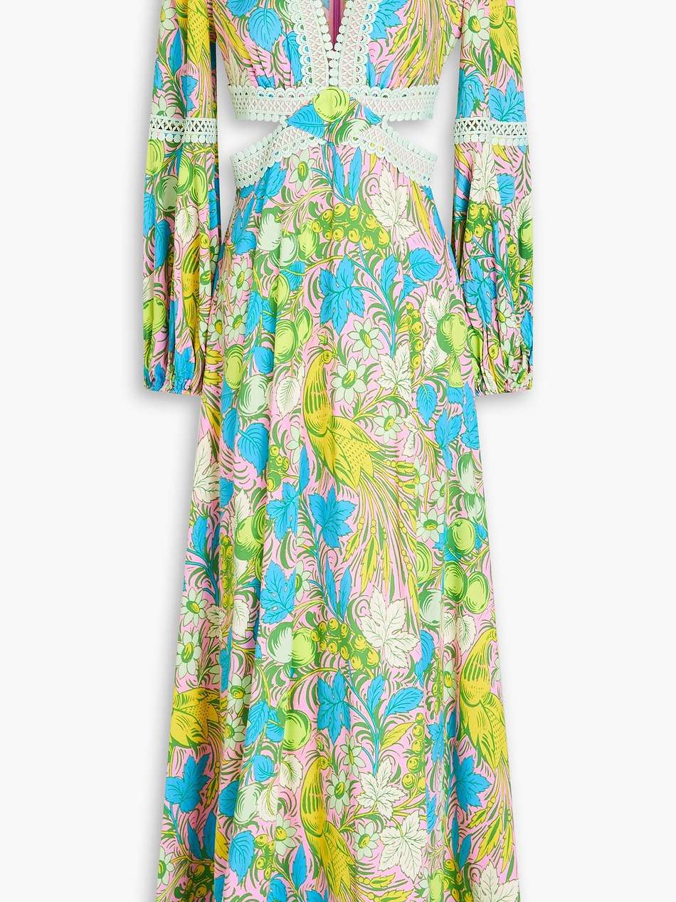 lina embroidered floral-print crepe maxi dress