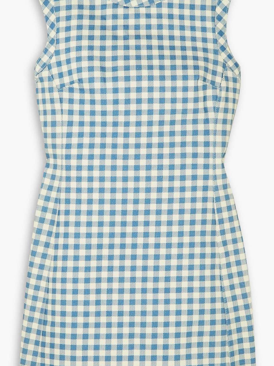 emmy gingham denim mini dress