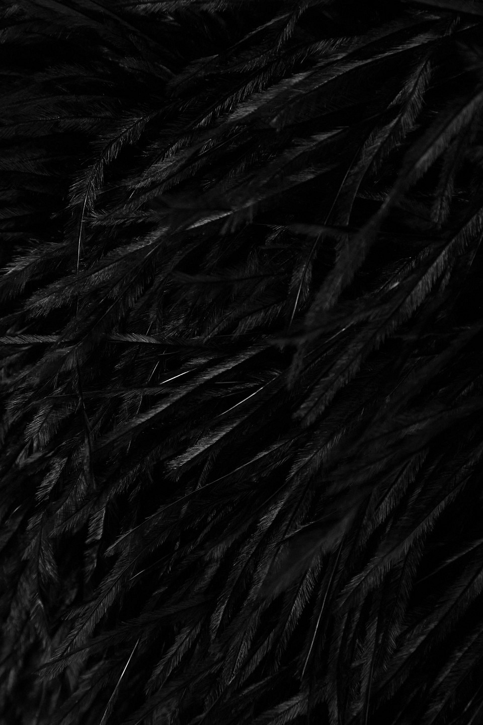 David Koma Strapless Feather-trimmed Crepe Mini Dress In Black