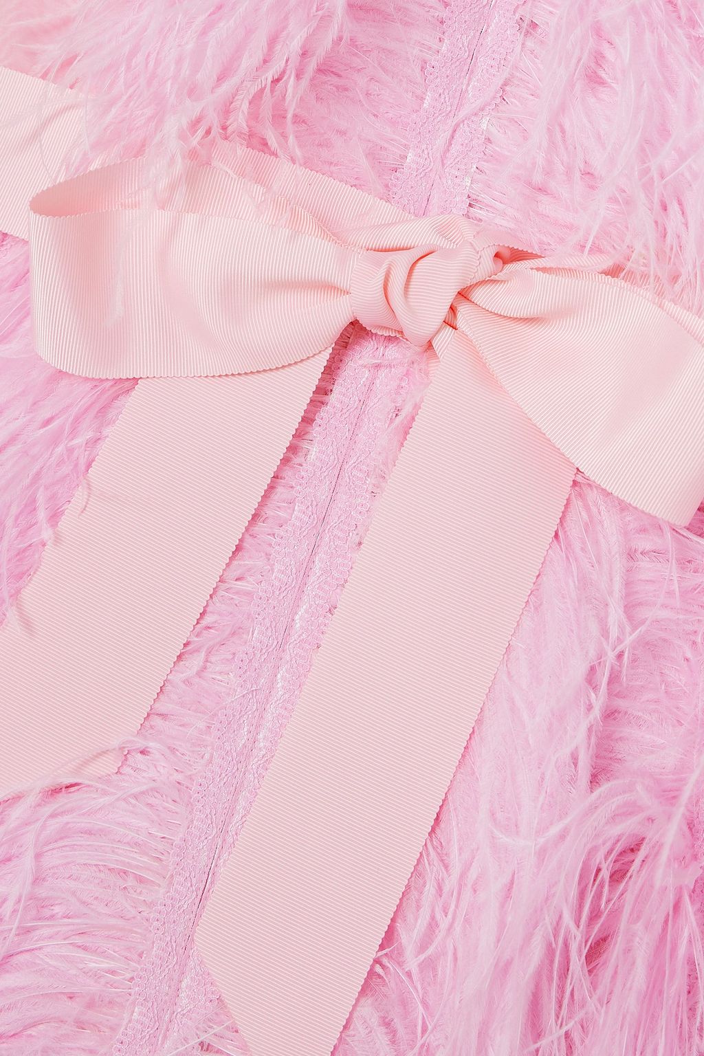 HUISHAN ZHANG Feather-embellished silk-organza gown