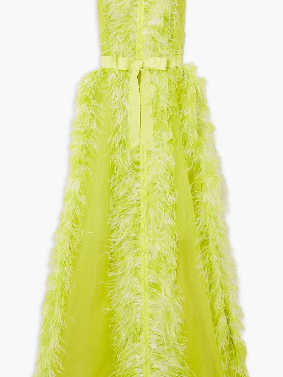 feather-embellished silk-organza gown