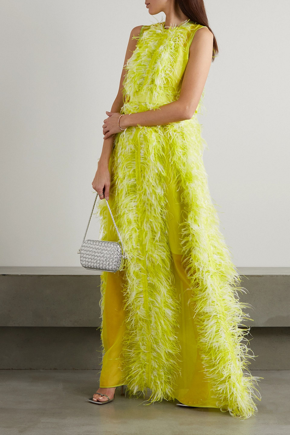 Huishan Zhang Feather-embellished silk-organza gown | Smart Closet