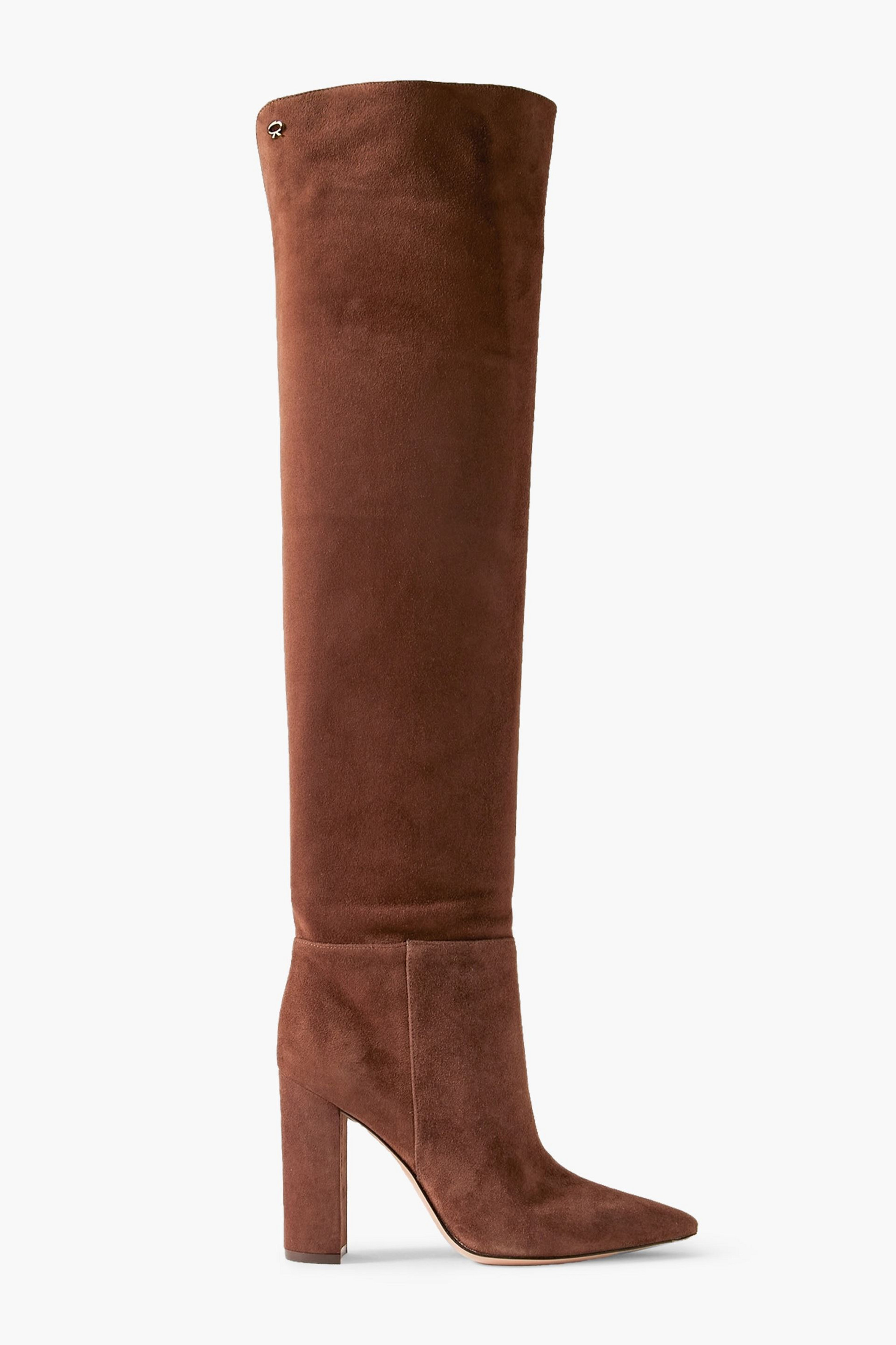 GIANVITO ROSSI 100 suede over-the-knee boots