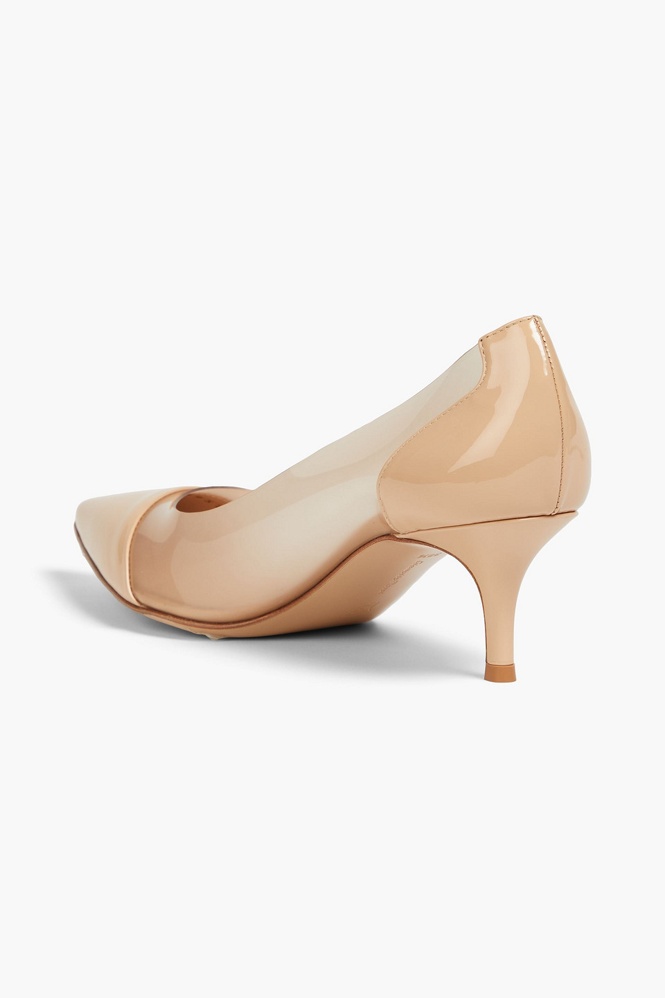 Gianvito Rossi Plexi 55 Pvc And Patent-leather Pumps In Neutral