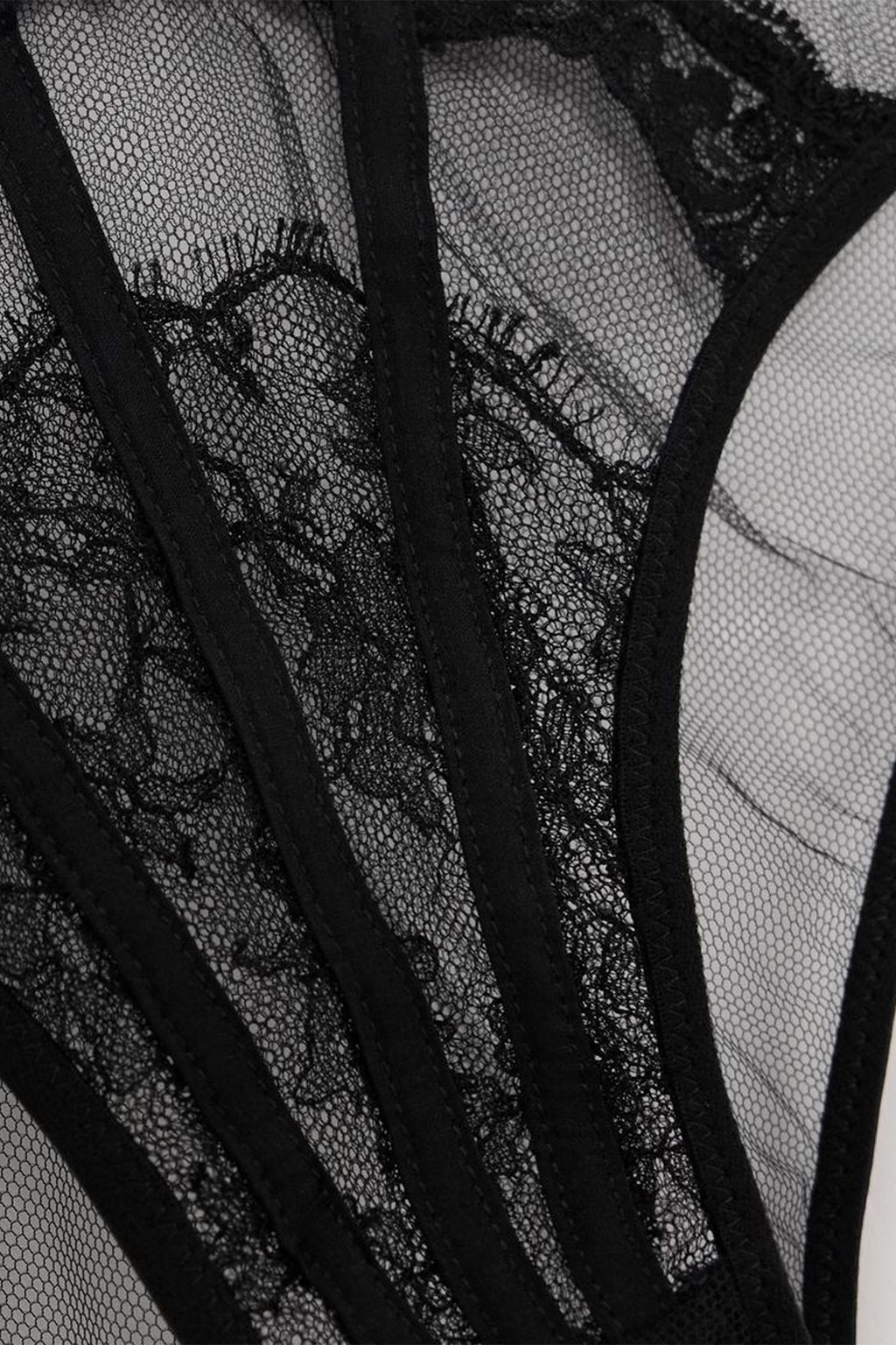 AGENT PROVOCATEUR 레이스 트리밍 튤 브리프