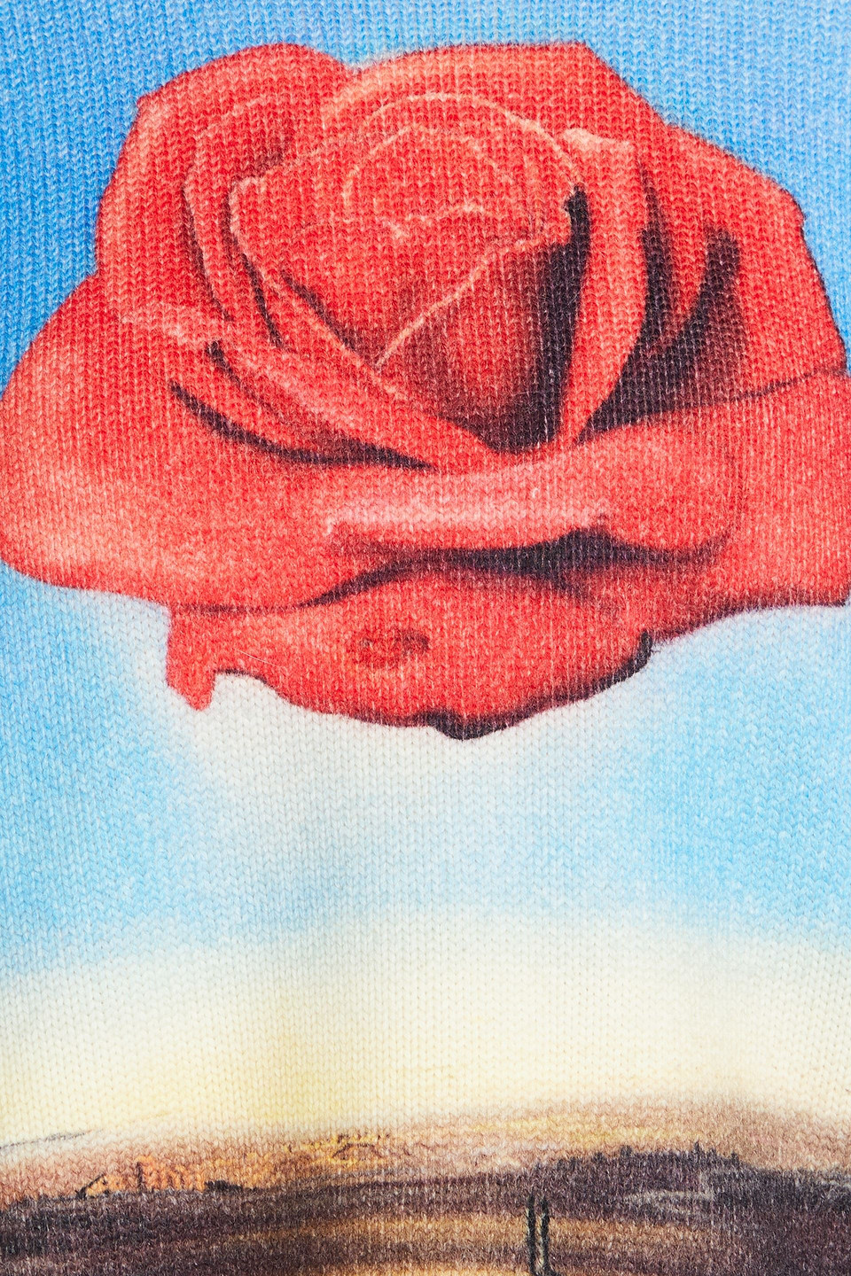 RABANNE PRINTED WOOL SWEATER