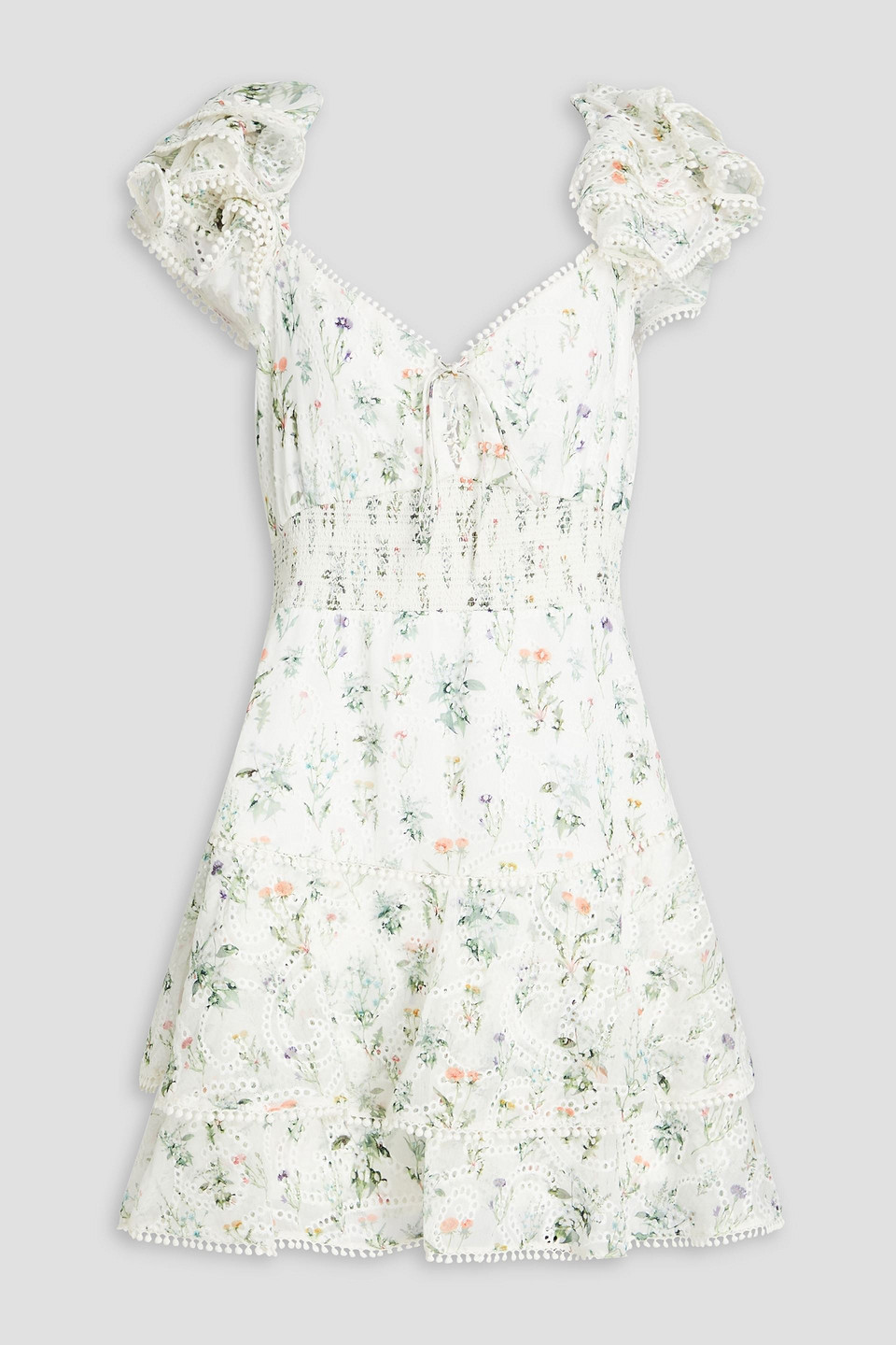 Alice And Olivia Ruffled Floral-print Broderie Anglaise Crepon Mini Dress In Ivory
