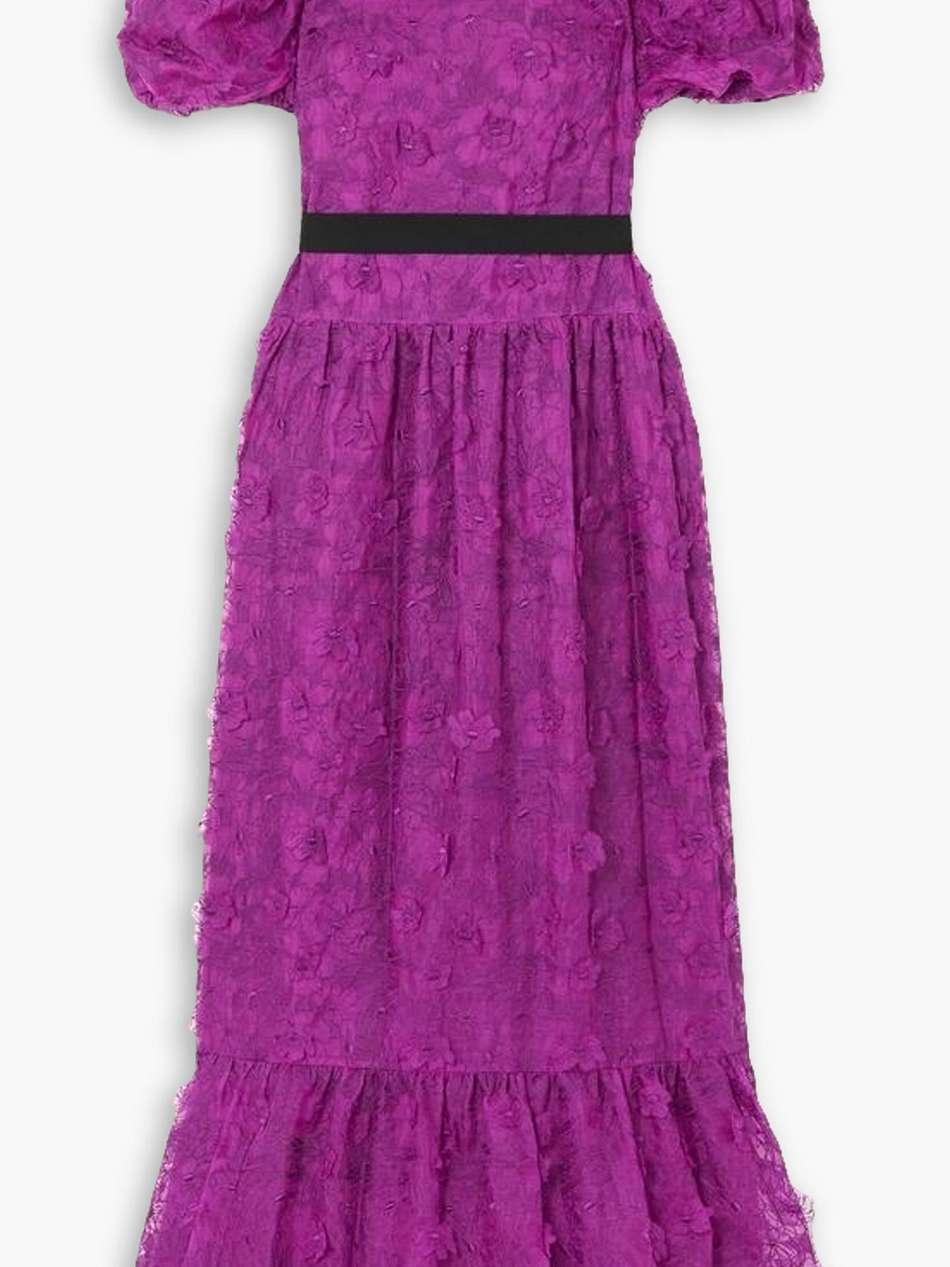 cybill embroidered silk-organza gown