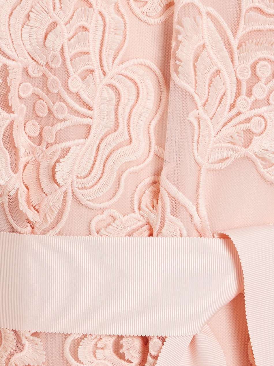 lorelei embroidered silk-tulle gown