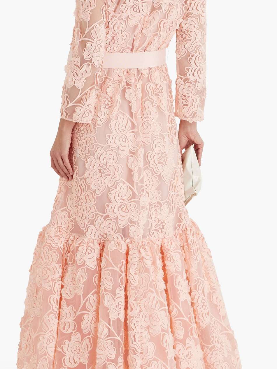 lorelei embroidered silk-tulle gown