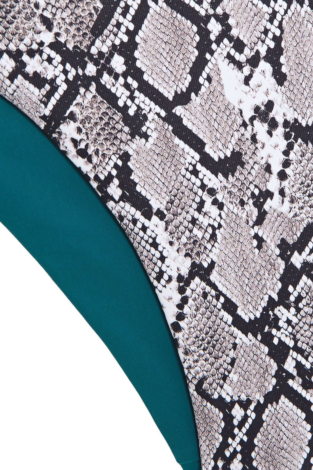 HEIDI KLEIN Snake-print low-rise bikini briefs