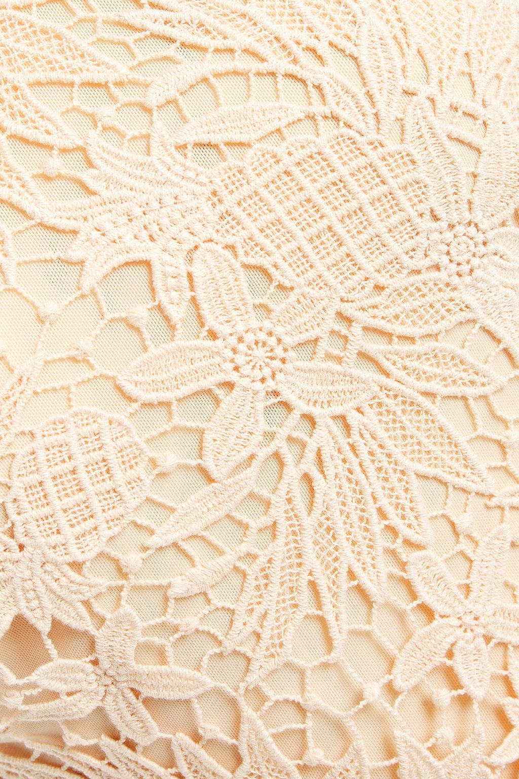 MARIA LUCIA HOHAN Ayane lace-up fluted cotton guipure lace dress