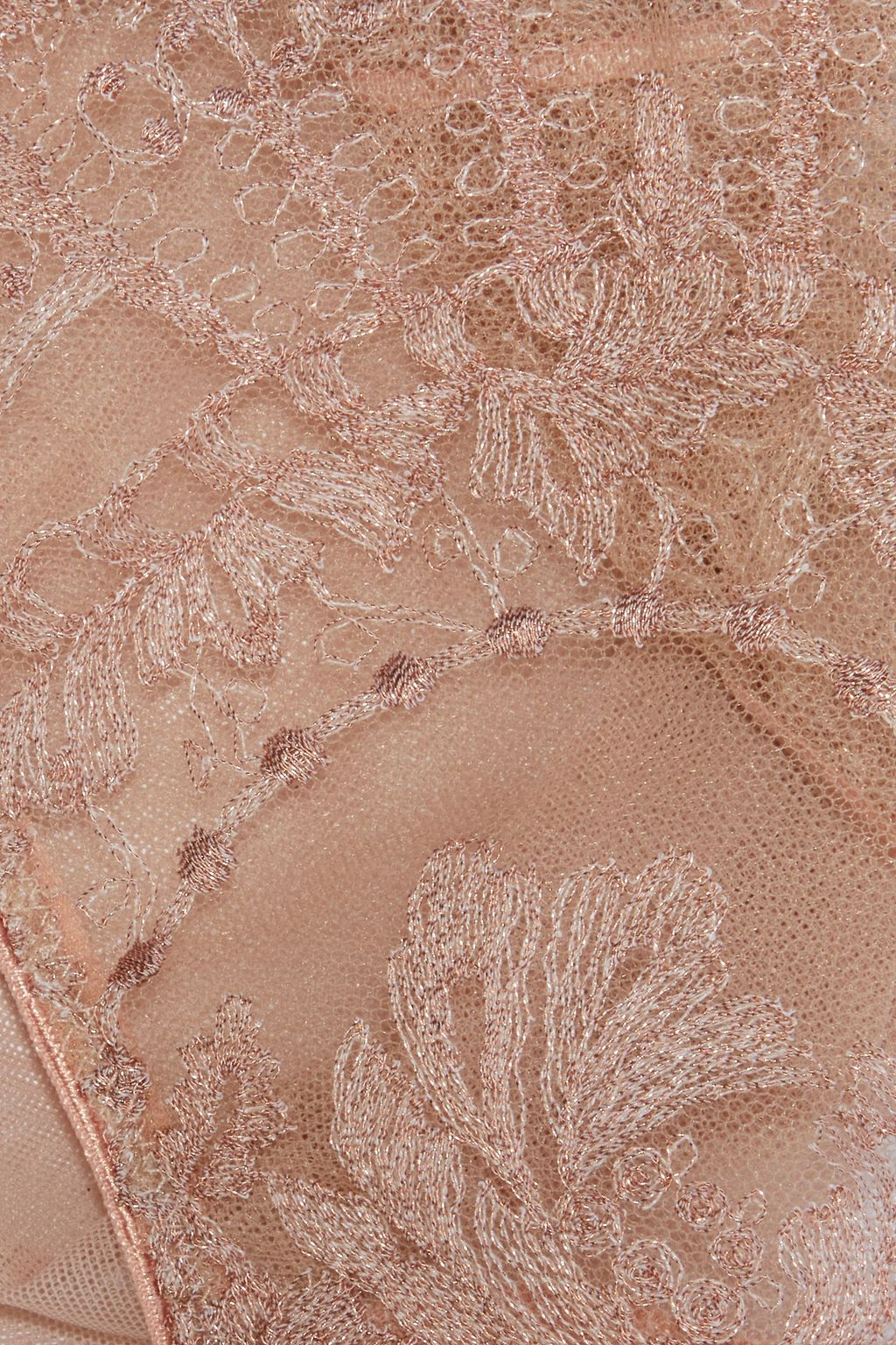 I.D. SARRIERI Desert Rose embroidered stretch-tulle low-rise briefs
