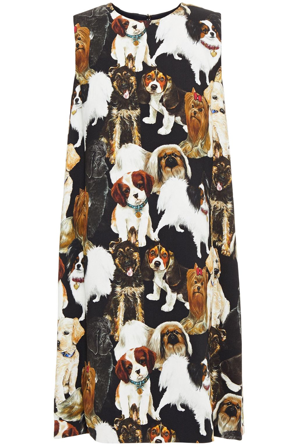 dolce and gabbana dog print dress