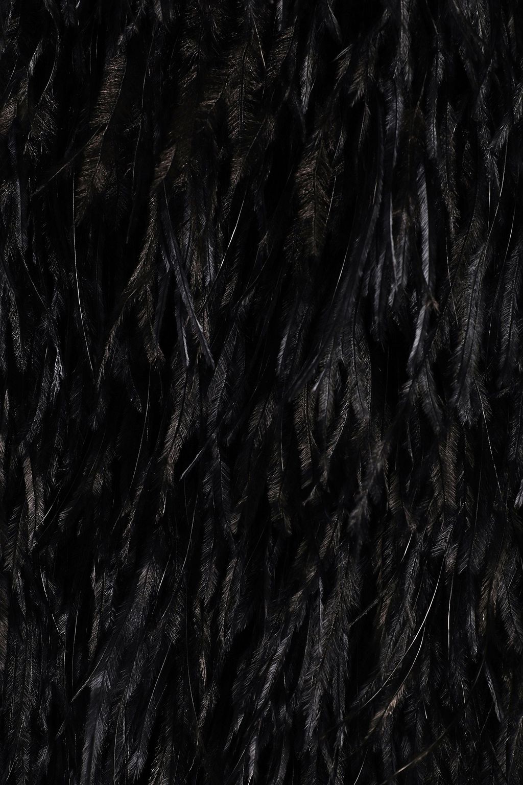 ROBERT RODRIGUEZ Feather-embellished cotton-blend mini skirt
