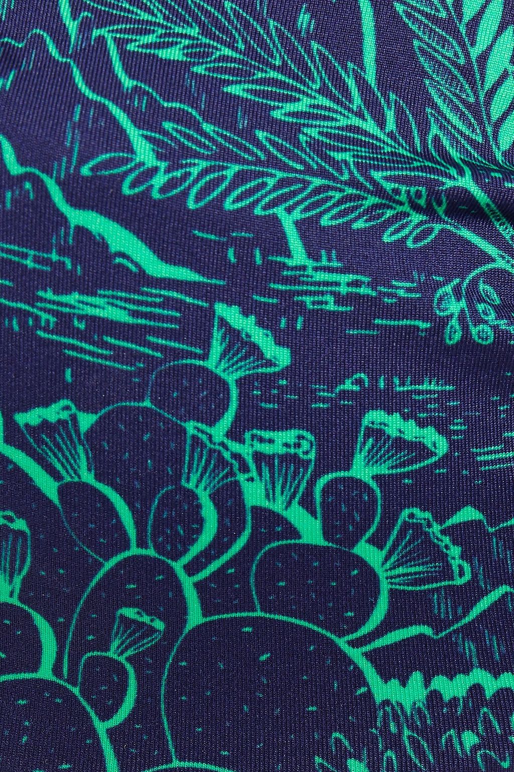 MAISON LEJABY Sierra Nevada ruched printed bikini top
