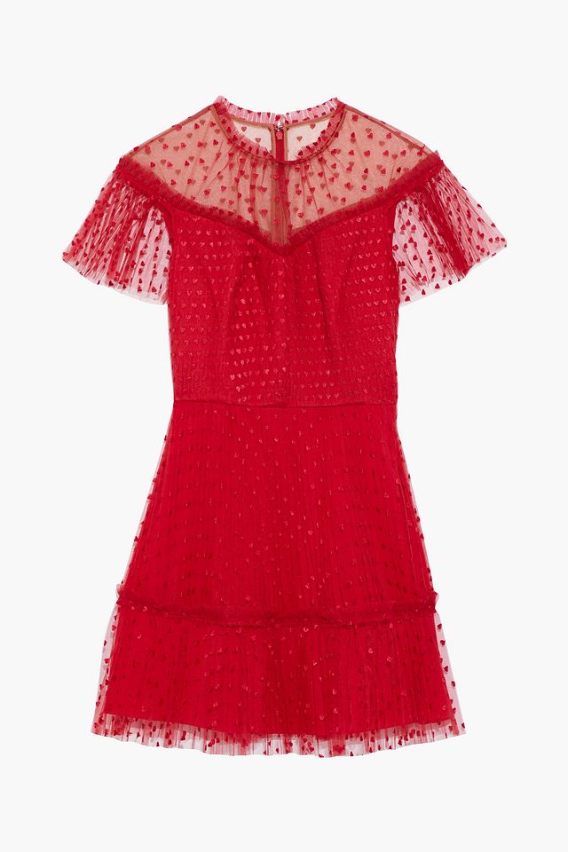 Ruffle-trimmed embroidered tulle mini dress