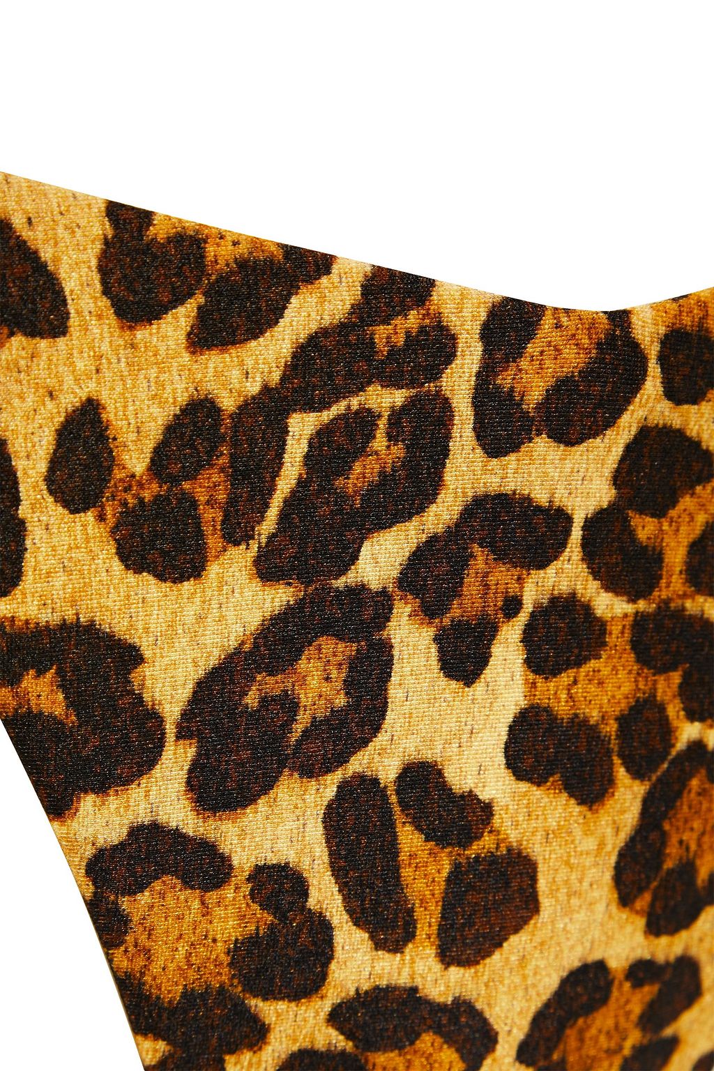 ZIMMERMANN Leopard-print low-rise bikini briefs